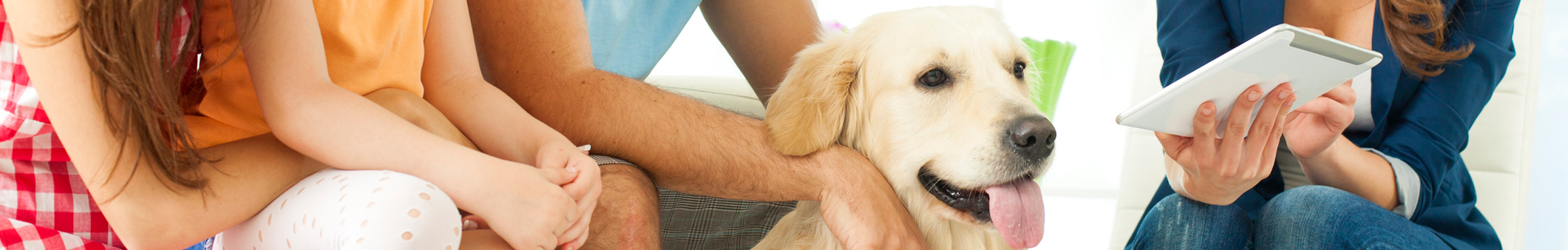 Family with their yellow lab discussing supplemental insurance options with their agent.